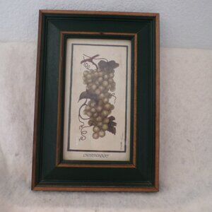 Martha Hinson Wine Grapes Chardonnay #2660 Framed Print  Picture Pier One